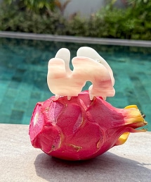 TW sAn S Hair Clip 髮夾S