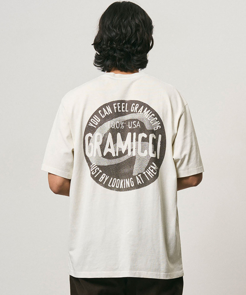 TW GLR Gramicci ICON T PIG D