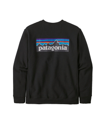 TW GLR Patagonia 12 Logo SWT