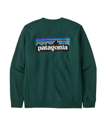 TW GLR Patagonia 12 Logo SWT