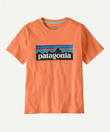 TW GLR Patagonia 17 P6/L T