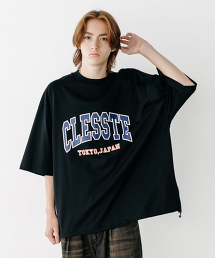 TW CLESSTE COLLEGE LOGO T