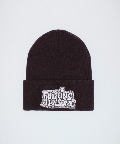 TW FUCKING AWESOME 38 PBS LOGO BEANIE