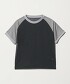 DK.GRAY