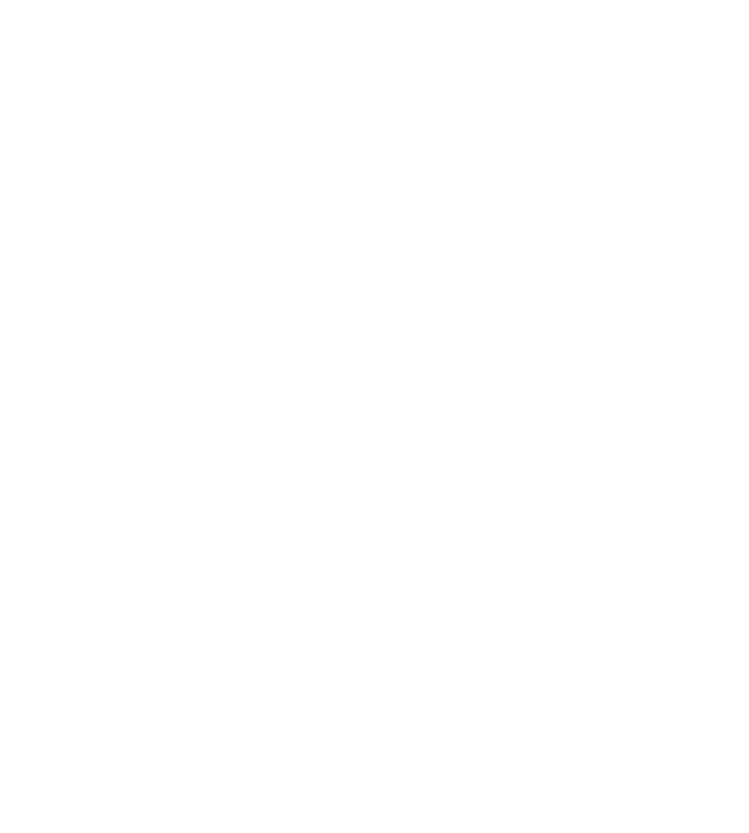 RONEL logo